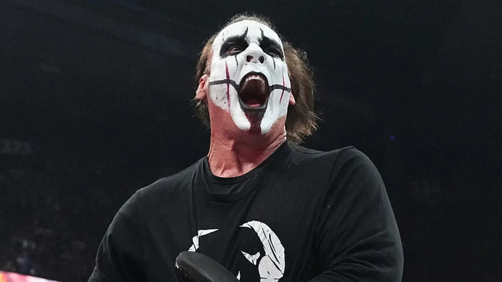 Darby Allin, Steven Borden Reflect On Sting Finding Joy In AEW