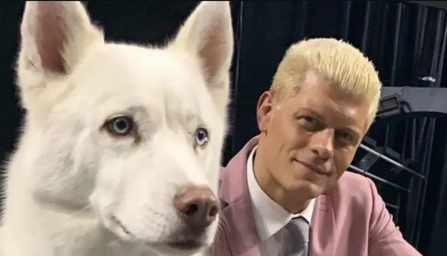Cody Rhodes Announces the Passing of Beloved Family Dog Pharaoh