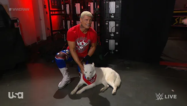 Cody Rhodes Announces the Death of Beloved Dog Pharaoh