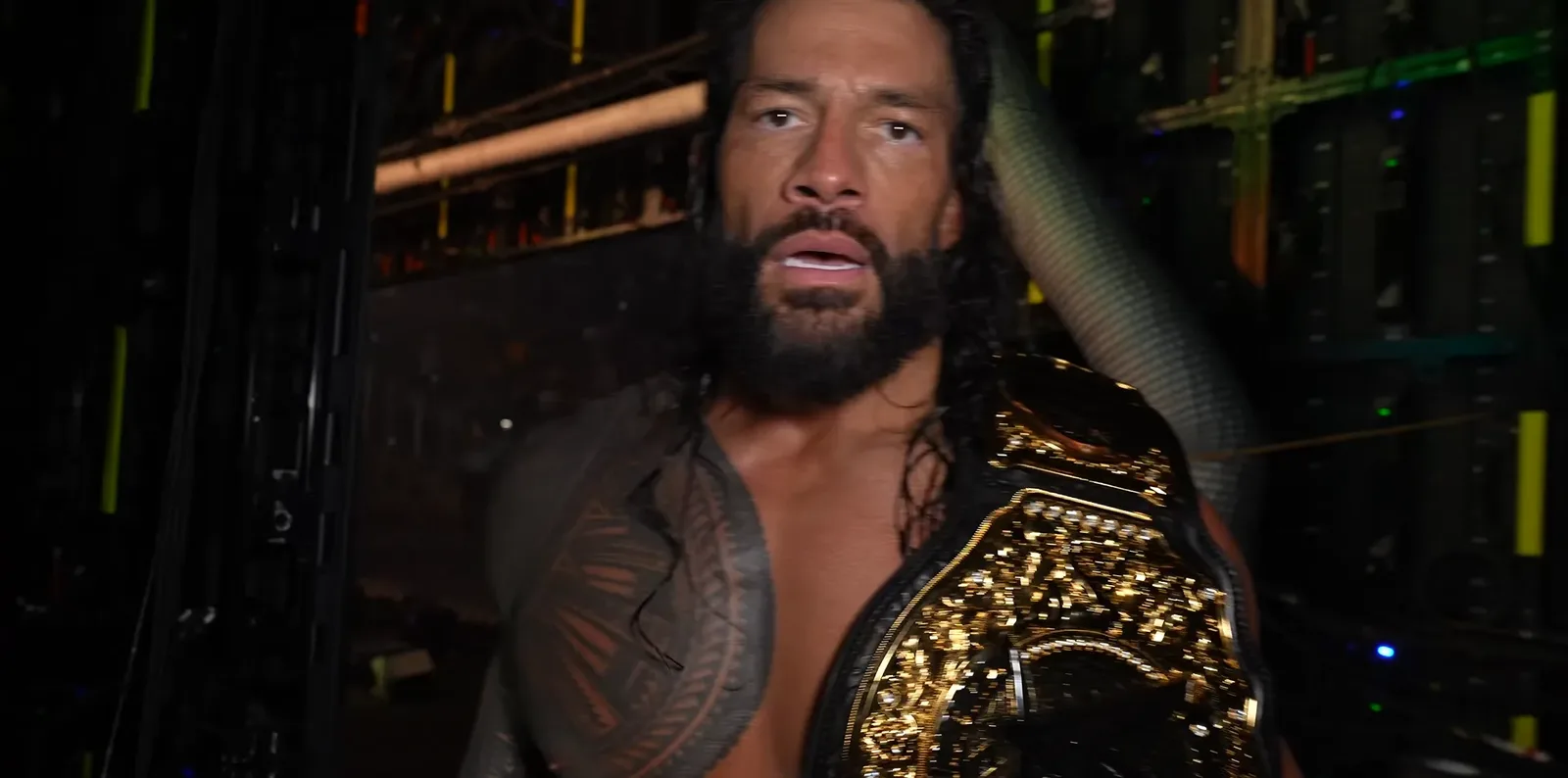 Roman Reigns Says WWE Locker Room Has Stars Who Think They Are on His Level