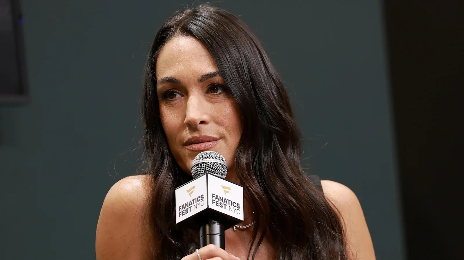 Brie Bella Targets October 1 for Next Step in Shoulder Recovery